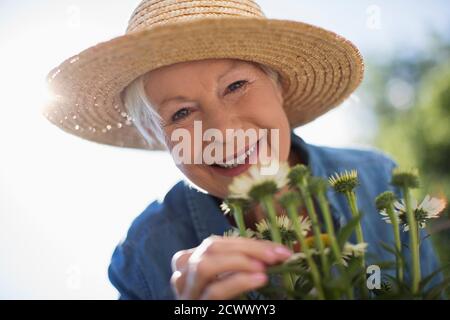 Nahaufnahme Porträt glücklich Senior Frau Garten in Strohhut Stockfoto