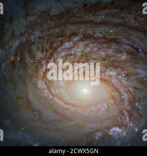 Hubble entdeckt eine merkwürdige Spirale das Universum ist einfach so groß, dass es schwierig sein kann, ein Gefühl der Skala beizubehalten. Viele Galaxien, die wir durch Teleskope sehen, wie das NASA-Weltraumteleskop Hubble, die Quelle dieses schönen Bildes, sehen relativ ähnlich aus: Spiralförmige Arme, ein glühendes Zentrum und eine Mischung aus hellen Flecken der Sternentstehung und dunklen Wellen kosmischen Staubes, die sich durchziehen. Diese Galaxie, eine Spiralgalaxie namens NGC 772, ist keine Ausnahme. Es hat tatsächlich viel mit unserer Heimatgalaxie, der Milchstraße, gemeinsam. Jede verfügt über ein paar Satelliten-Galaxien: Kleine Galaxien, die eng umkreisen und ein Stockfoto