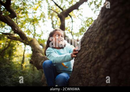 Glückliches Mädchen klettert Baum Stockfoto