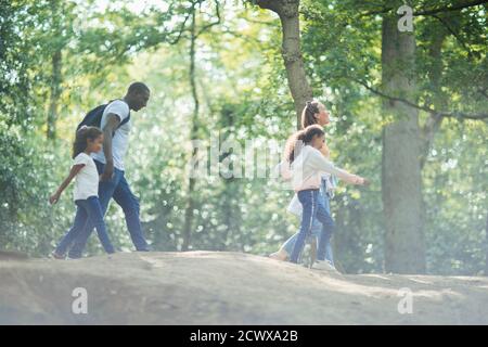 Familienwanderung in sonnigen Sommerwäldern Stockfoto