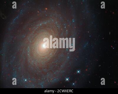 Das NASA/ESA Hubble Space Telescope hat eine detaillierte Aufnahme der Spiralgalaxie NGC 691 aufgenommen, die sich 120 Millionen Lichtjahre von der Erde entfernt befindet, einer Galaxie, die William Herschel vor über 200 Jahren katalogisiert hat. Stockfoto
