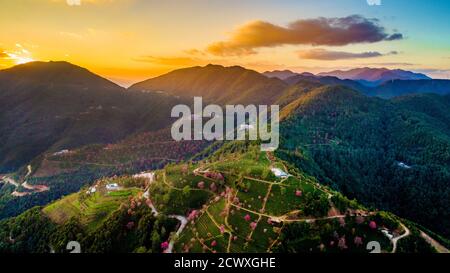 (200930) -- KUNMING, 30. September 2020 (Xinhua) -- Luftfoto vom 16. Dezember 2017 zeigt Kirschbäume auf dem Wuliang Berg im Autonomen Bezirk Nanjian Yi, südwestlich von Chinas Provinz Yunnan. Obwohl Yunnan nur 4.1 Prozent der Landfläche Chinas ausmacht, gilt die Provinz noch als "Königreich der Tiere und Pflanzen" und "Gene Bank of Species", weil sie mehr als 50 Prozent der biologischen Arten des Landes beherbergt. In den letzten Jahren hat China mit der Durchsetzung von Gesetzen, Politiken und anderen Maßnahmen, wie dem Bau von natio, bedeutende Errungenschaften im Bereich des ökologischen Erhalts erzielt Stockfoto