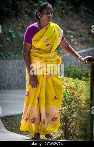 Thaipusam Celebration 2020 Stockfoto