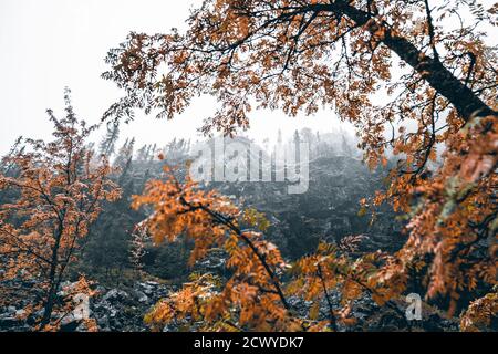 Herbstwasserfall in Nordschweden Stockfoto