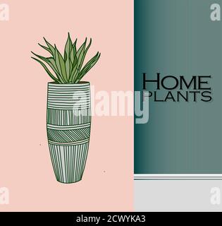 Vector Zimmerpflanzen in einem Container für den Innenbereich als Hauspflanze in Töpfen. Home Gartenarbeit Konzept. Moderne flache Vektorgrafik Stock Vektor