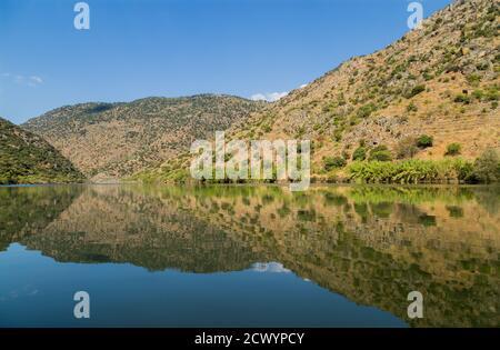 Fluss Douro fließt im Norden Portugals. Douro Region. Stockfoto