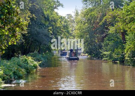 Private Freizeitboote fahren entlang des Flusses Wey Navigation und Kanal in New Haw an einem sonnigen Sommertag, Surrey England UK Stockfoto