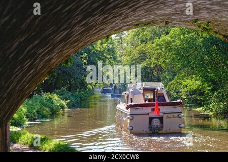 Private Freizeitboote fahren entlang des Flusses Wey Navigation und Kanal in New Haw an einem sonnigen Sommertag, Surrey England UK Stockfoto