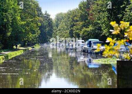 Festfahrende Boote auf dem Schifffahrtskanal des Flusses Wey in New HAW an einem späten Sommertag Surrey England UK Stockfoto