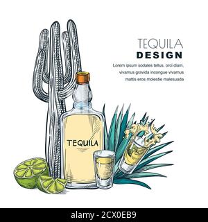 Tequila Skizzenvektor Illustration. Bar-Menü, Etikett oder Verpackung Design. Flasche, Schnapsglas, Kaktus, Agave isoliert auf weißem Hintergrund. Stock Vektor