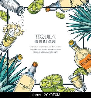 Tequila Label Design Vorlage. Skizzenvektordarstellung von Flaschen, Schnapsglas, Kalk und Agave. Balkenmenü weißer Rahmen Hintergrund. Stock Vektor