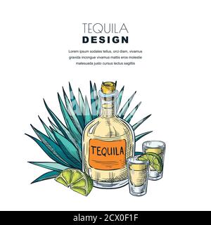 Tequila Skizzenvektor Illustration. Bar-Menü, Etikett oder Verpackung Design. Flasche, Glas, Kalk, Agave isoliert auf weißem Hintergrund Stock Vektor