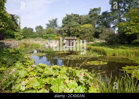 Der untere See bei Burnby Hall Gardens, Pocklington, East Yorkshire Stockfoto