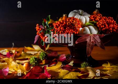 Stillleben im Herbst mit bunten Blättern und Herbstdeko-Früchten Auf schwarzem Hintergrund für Thanksgiving Stockfoto