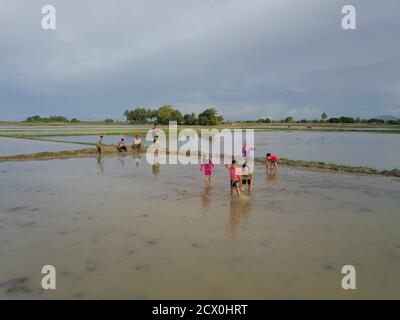 Penaga, Penang/Malaysia - Nov 03 2019: Malaysische Kinder spielen während der Wassersaison auf dem Reisfeld. Stockfoto