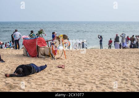 Puri, Indien - 3. Februar 2020: Ein dekoriertes Kamel ruht am Strand mit unbekannten Menschen in der Nähe und der Horizont im Hintergrund am 3. Februar, Stockfoto