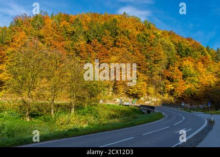 Straße durch wunderschöne Herbstlandschaft bei Graz, Steiermark, Österreich Stockfoto