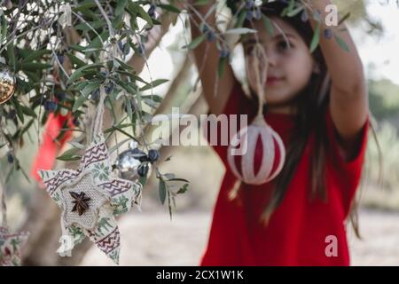 Ein unfokussiertes Mädchen hängend Weihnachtsdekorationen von den Zweigen eines Olivenbaums auf dem Feld, trägt ein Weihnachtsband Stockfoto