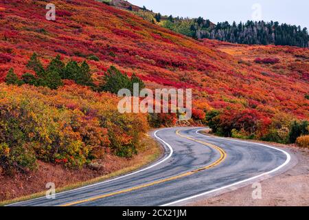 Malerische Herbstlandschaft mit Herbstfarben entlang einer kurvenreichen Bergstraße auf dem West Elk Loop Scenic Byway, Colorado, USA Stockfoto