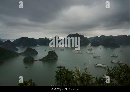 Blick von Dao Titop Island und viele Ausflugsboote, Halong Bay, Vietnam Stockfoto