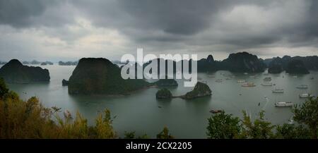 Panoramablick von Dao Titop Island, Halong Bay, Vietnam. Kreuzfahrtschiffe Stockfoto