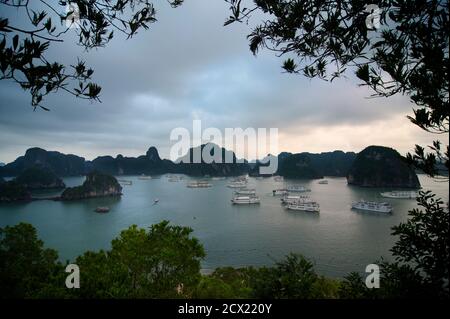Blick von Dao Titop Insel, Halong Bucht, Vietnam. Ausflugsboote Stockfoto