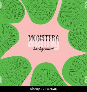 Monstera Tropische Dschungelpflanze Mit Grünen Blättern. Eine flache Reihe von Illustrationen isoliert auf einem rosa Hintergrund. Stock Vektor