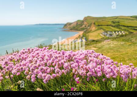 West Bay, Dorset - Heimat von Broadchurch Stockfoto