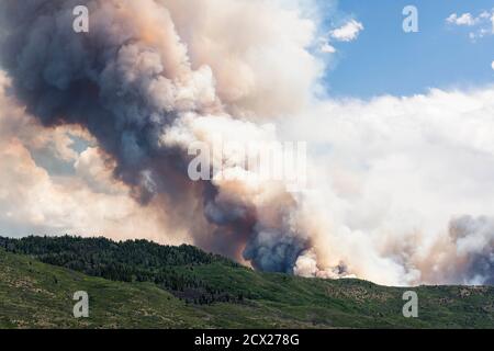 Rauch, der aus Waldbränden aussendet Stockfoto