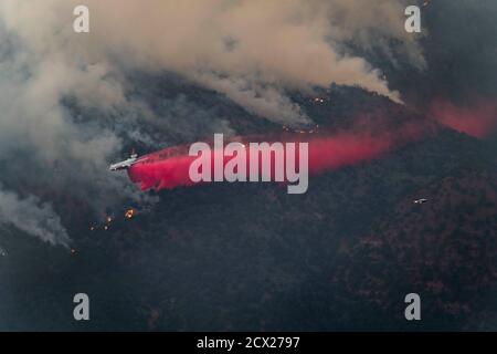 Flugzeug fallen feuerhemmend auf Waldbrand im Wald Stockfoto