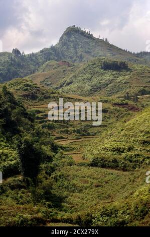 Lung Phin zwischen Bac Ha und Can CAU, Lao Cai Provinz, N Vietnam Stockfoto