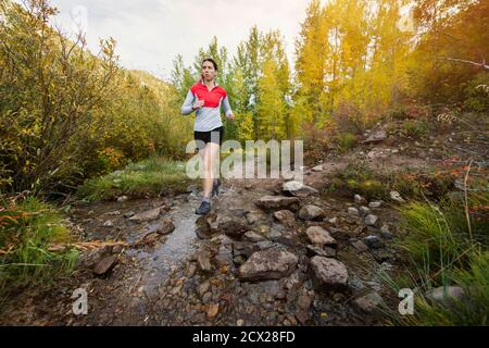 Junge Frau, die im Herbst im Wald unterwegs ist Stockfoto