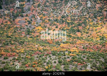 Luftaufnahme der Landschaft im Herbst Stockfoto