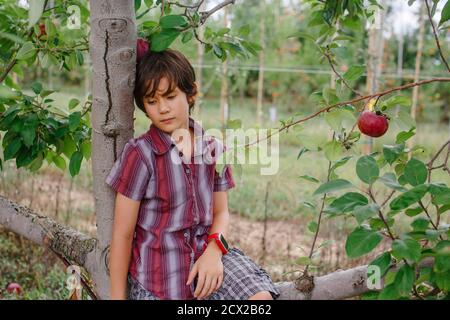 Porträt eines schönen Jungen, der nachdenklich in einem Apfel sitzt Obstgarten Stockfoto