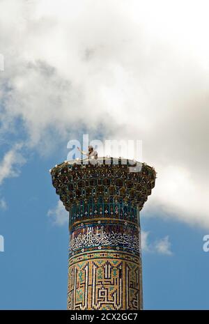 Reisende, die Fotos von der Spitze eines Minaretts machen, Ulughbek Medressa, Registan, Samarkand, Usbekistan. Modell Freigegeben Stockfoto