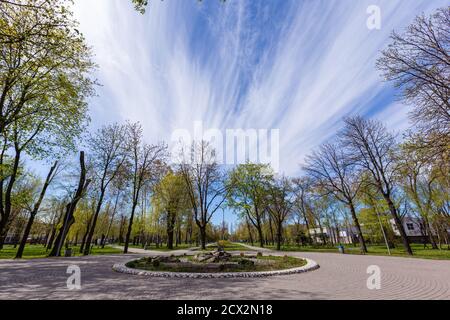 Frühling im Park. Frühlingsfotografie mit grünen Bäumen unter dem wolkigen Himmel. Krivoy Rog, Ukraine Stockfoto