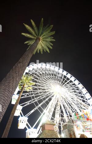 Nachtaufnahme einer schönen Palme auf dem Weihnachtsmarkt mit einem beleuchteten Riesenrad im Hintergrund. Selektiver Fokus und Bewegungsunschärfe. Stockfoto