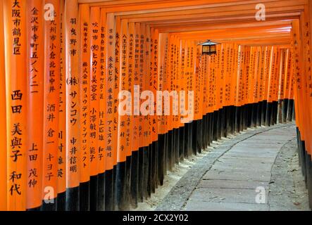 Orange lackiert Torii-Tore im Fushimi Inari-Taisha-Schrein in Kyoto, Japan. Stockfoto
