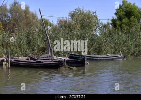 Set von kleinen Booten in einem Fischerhafen. see, blauer Himmel, Schilf, Holz Stockfoto