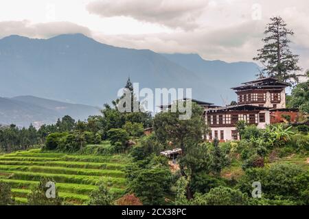 Traditionelle Dorf Bauernhäuser und terrassenförmige Reisfelder in Haa, Bhutan Stockfoto