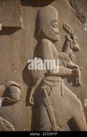 Aufwändige Schnitzerei. Palast von Darius dem Großen, auch bekannt als die Tachara, Persepolis, Shiraz, Iran. Tragen eines Hirsches Stockfoto