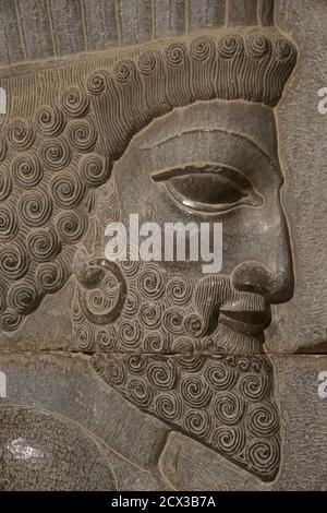 Apadana Palast, Persepolis, Iran. Persischer Soldat im Flachrelief. Stockfoto