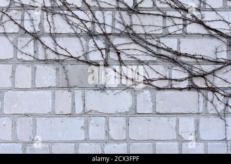 Weiße und rote Ziegel Wandstruktur Stockfoto