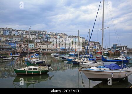 Brixham Harbour ist ein malerisches Fischerdorf, viele Boote sind im Hafen vertäut Stockfoto