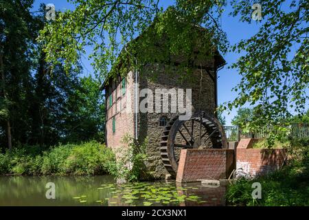 Schermbeck, Schermbeck-Altschermbeck, Niederrhein, Münsterland, Ruhrgebiet, Naturpark hohe Mark Westmuensterland, Rheinland, Nordrhein-Westfalen, NRW Stockfoto