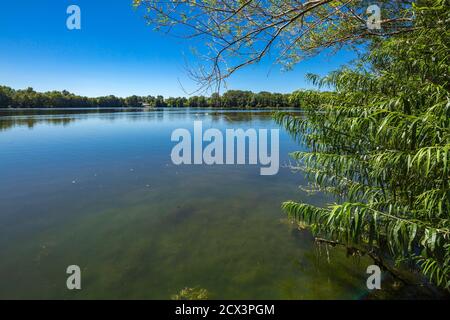 Dorsten, Dorsten-Holsterhausen, Lippe, Ruhrgebiet, Naturpark hohe Mark Westmuensterland, Münsterland, Westfalen, Nordrhein-Westfalen, NRW, Blauer See Stockfoto