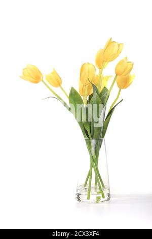 Helle und bunte gelbe Tulpen in einer Glasvase Stockfoto