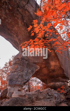 USA, Southeastern, Kentucky, Daniel Boone National Forest, The Red River Gorge Geological Area, Sky Bridge, Stockfoto