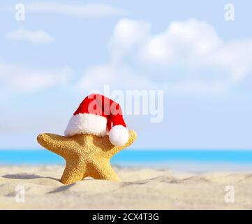 Sommerstrand. Frohe Weihnachten. Seesterne im Weihnachtsmannhut Stockfoto