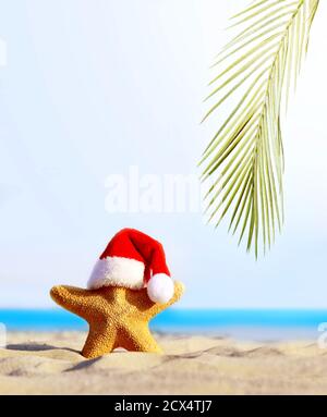 Sommerstrand. Frohe Weihnachten. Seesterne im Weihnachtsmannhut Stockfoto